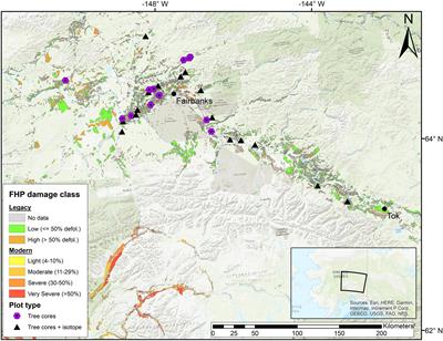 White spruce presence increases leaf miner effects on aspen growth in interior Alaska